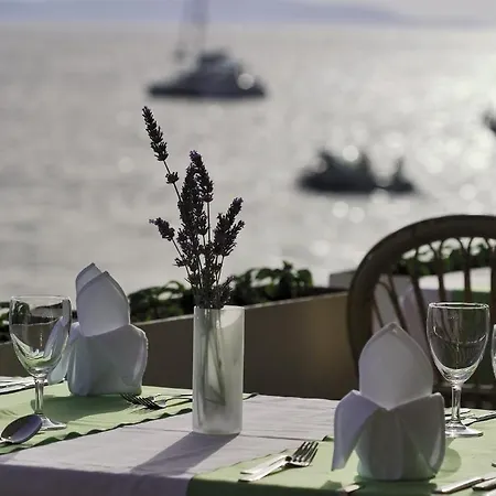 Dalmacija Hvar فندق 3*
